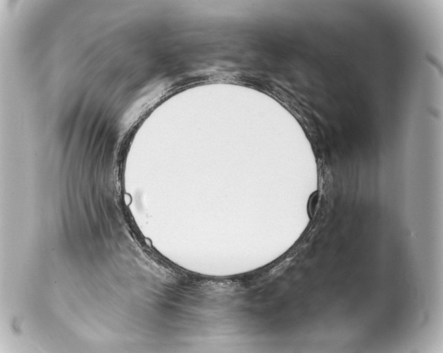 X0000101460245200808041049