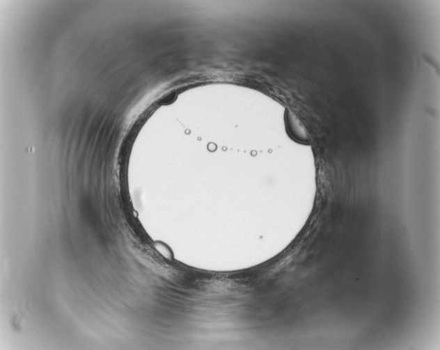 X0000101460246200808041049