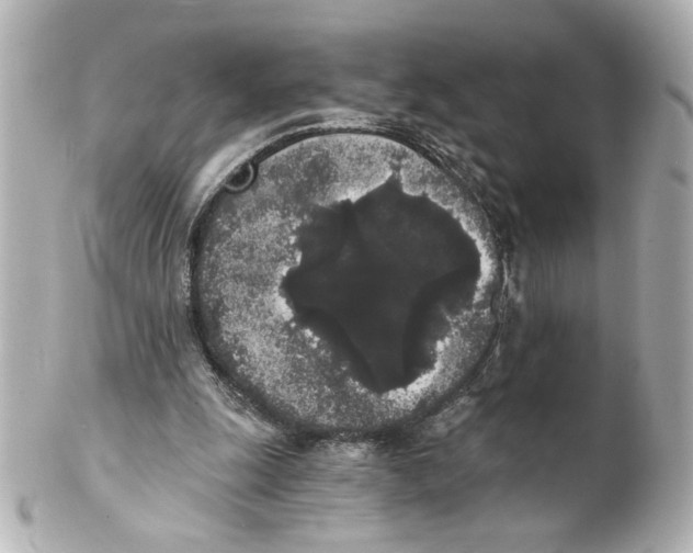 X0000101460247200808041049