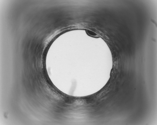 X0000101460248200808041049