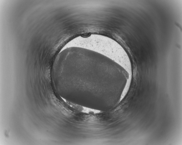 X0000101460249200808041049