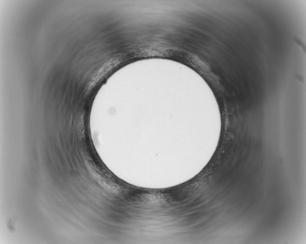 X0000101460250200808041049