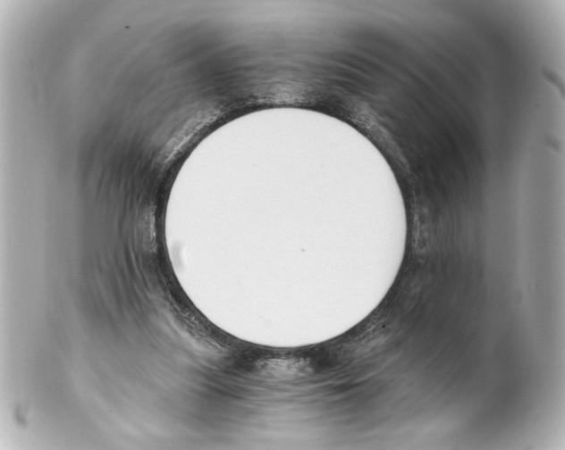 X0000101460251200808041049