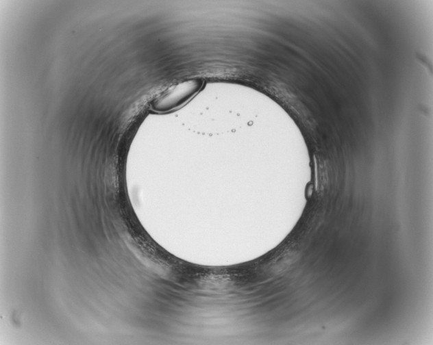 X0000101460252200808041049