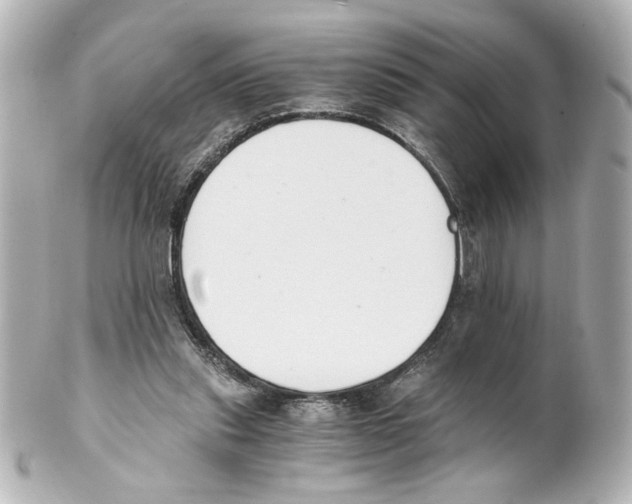 X0000101460253200808041049