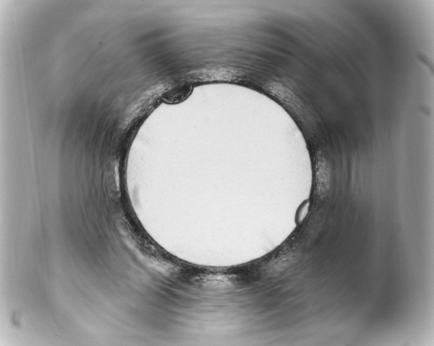 X0000101460254200808041049