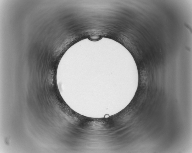 X0000101460255200808041049