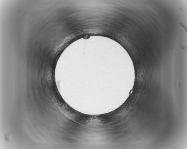 X0000101460256200808041049