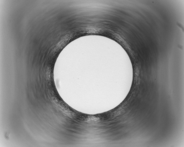 X0000101460257200808041049