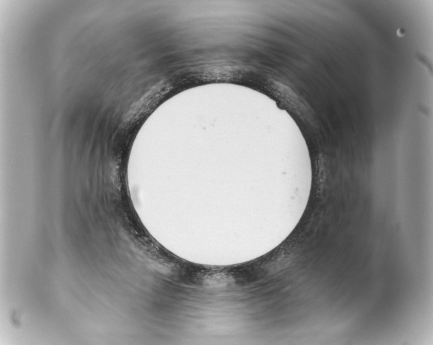 X0000101460258200808041049