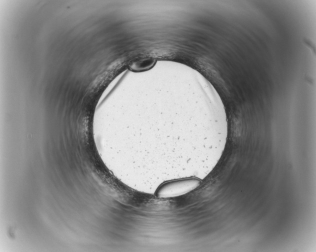 X0000101460260200808041049