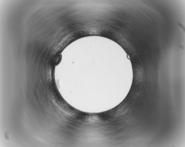 X0000101460262200808041049