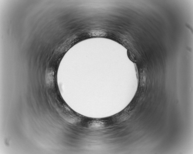 X0000101460263200808041049