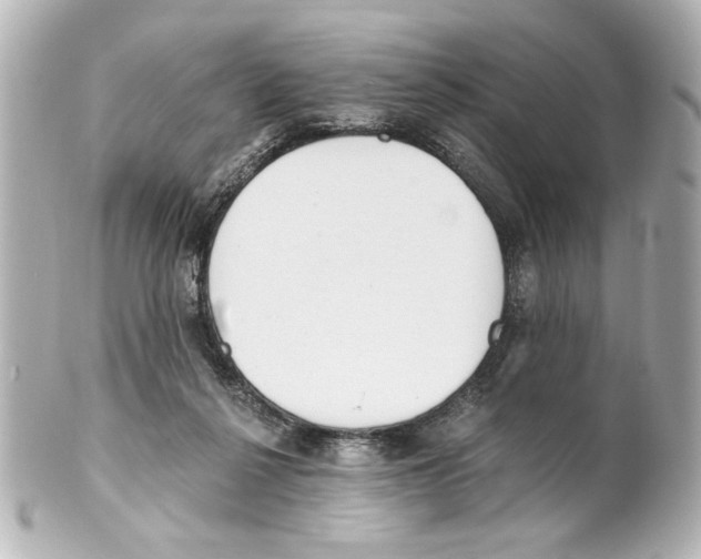 X0000101460264200808041049