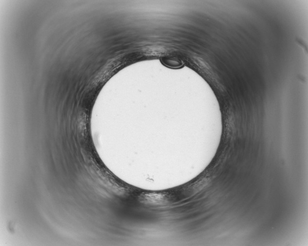 X0000101460265200808041049