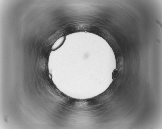 X0000101460266200808041049