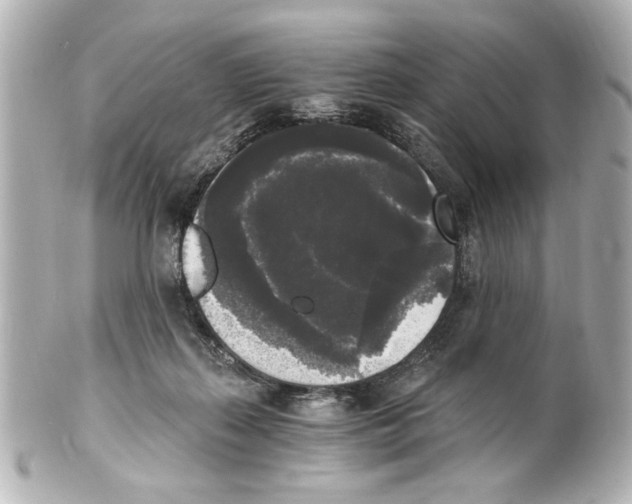 X0000101460267200808041049