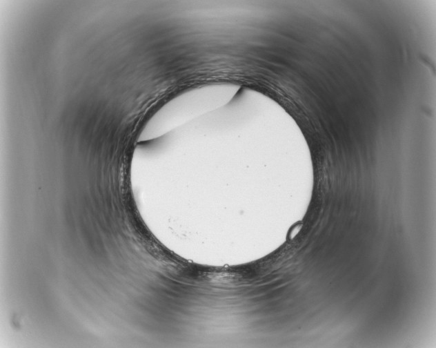 X0000101460268200808041049