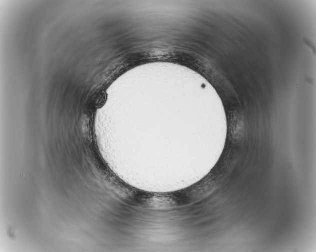 X0000101460270200808041049