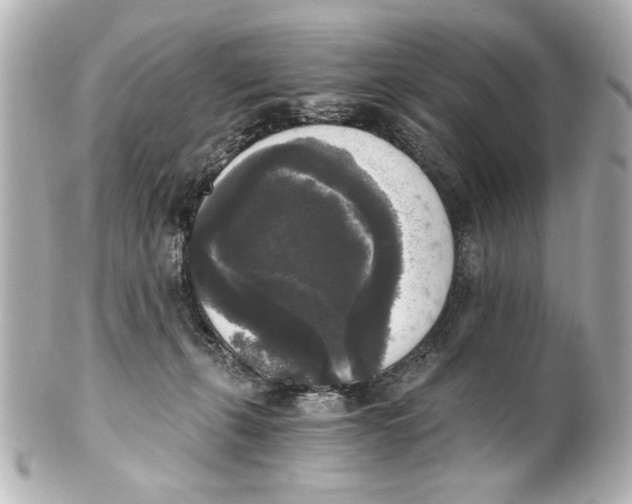 X0000101460271200808041049