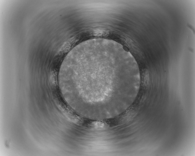 X0000101460272200808041049