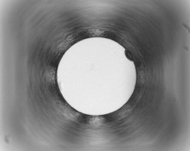 X0000101460274200808041049