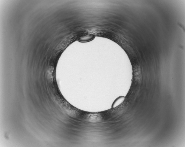 X0000101460275200808041049