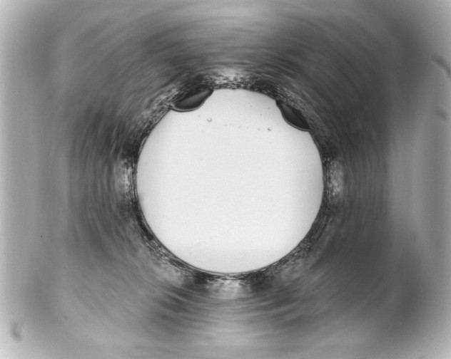 X0000101460276200808041049