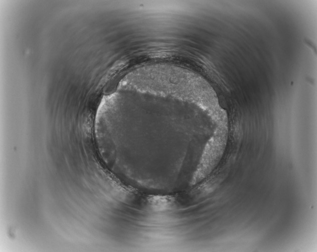 X0000101460277200808041049