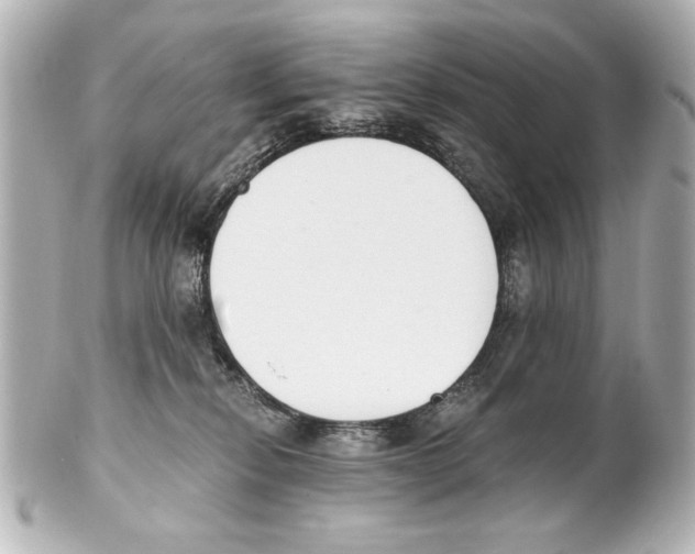 X0000101460278200808041049