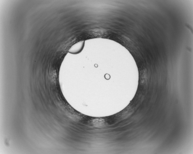 X0000101460279200808041049