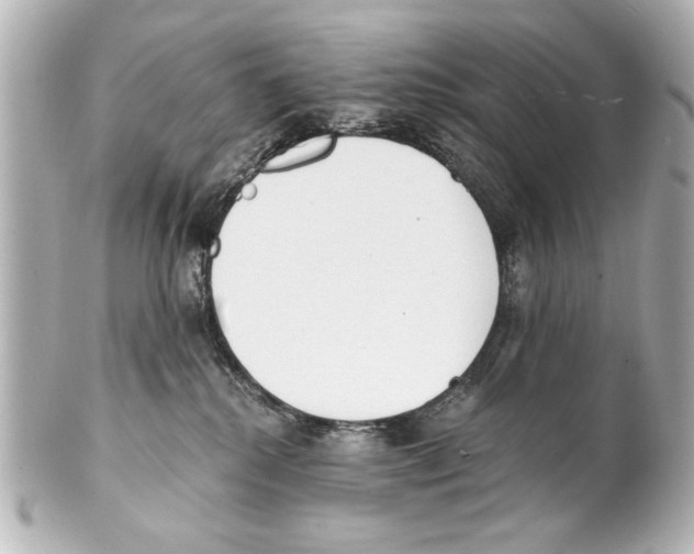 X0000101460280200808041049