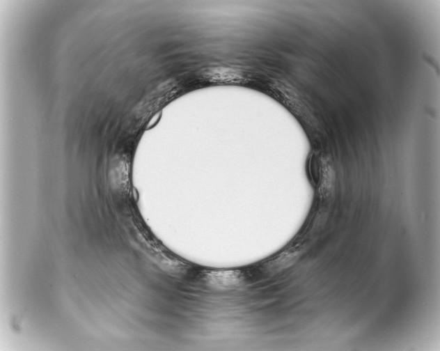 X0000101460281200808041049