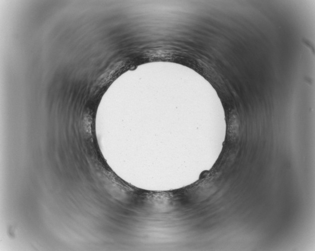 X0000101460282200808041049