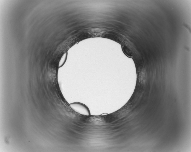 X0000101460283200808041049