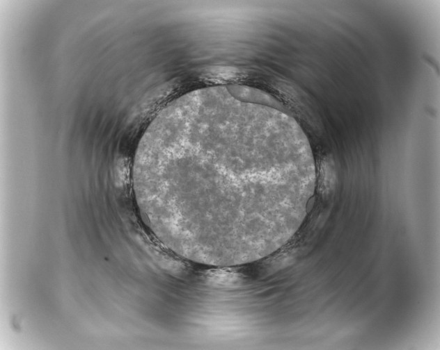 X0000101460284200808041049