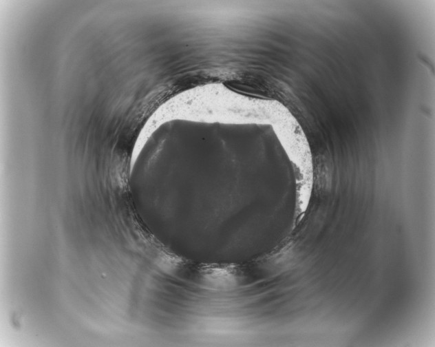 X0000101460285200808041049