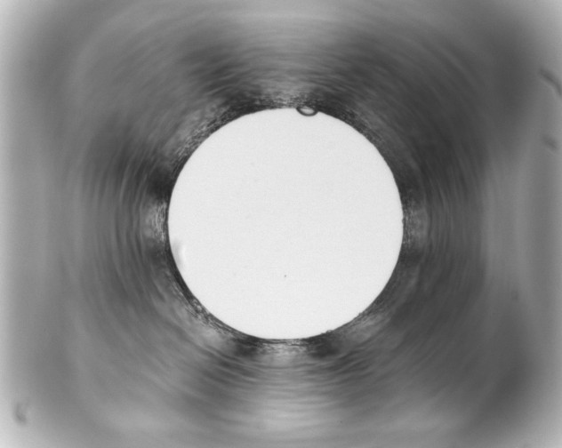 X0000101460286200808041049