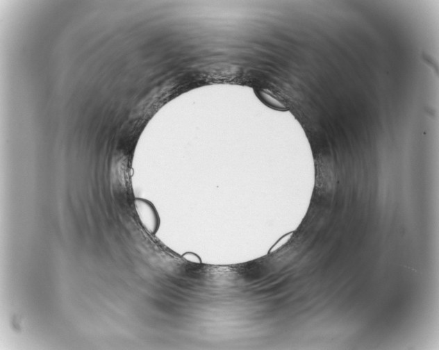 X0000101460287200808041049