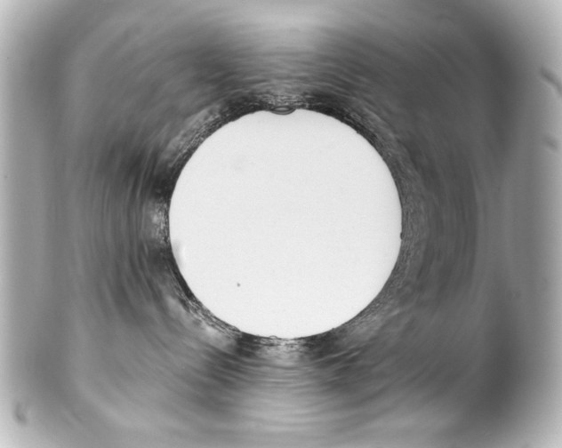 X0000101460288200808041049