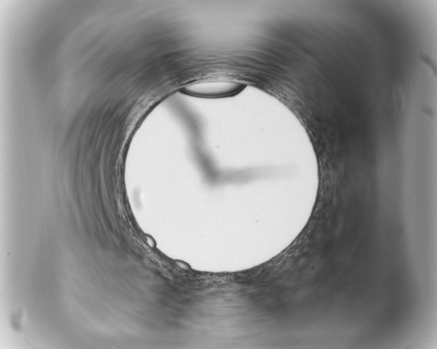X0000101460289200808041048