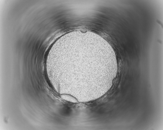 X0000101460290200808041048