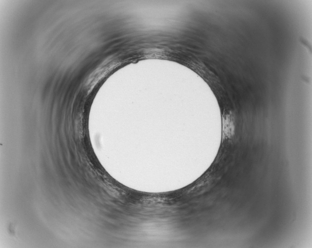 X0000101460291200808041048