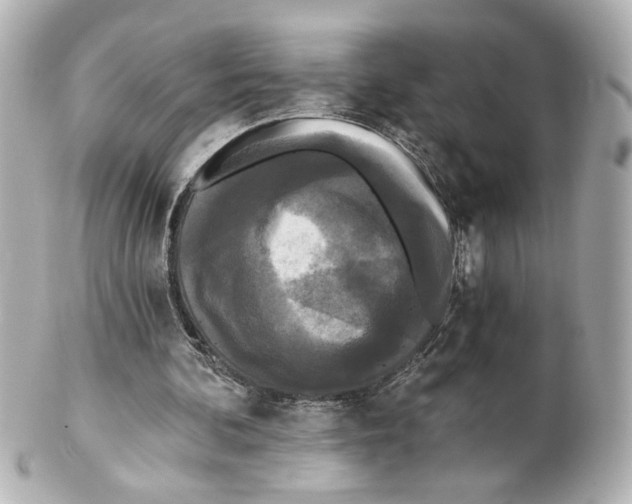 X0000101460292200808041048