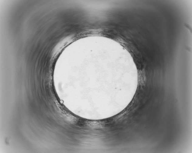 X0000101460293200808041048