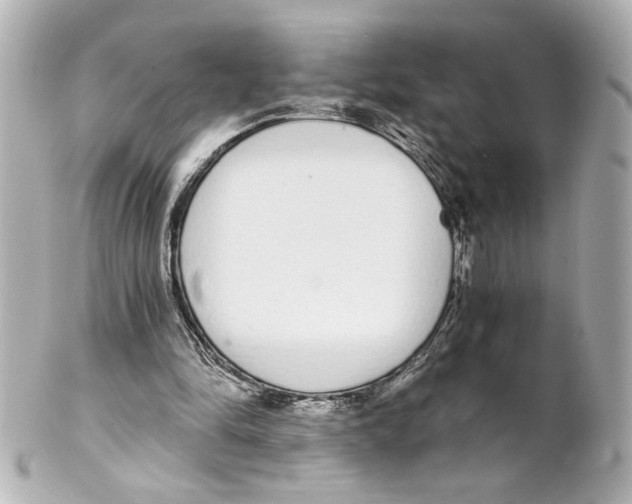 X0000101460294200808041048