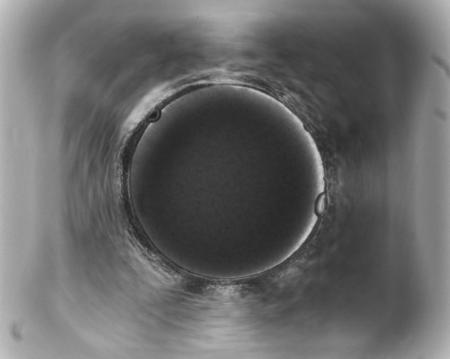 X0000101460295200808041048