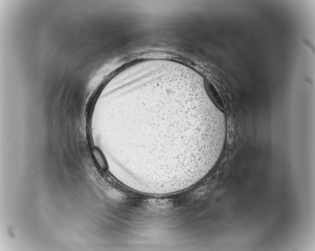 X0000101460296200808041048