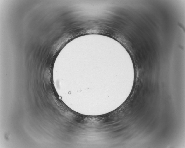 X0000101460297200808041048