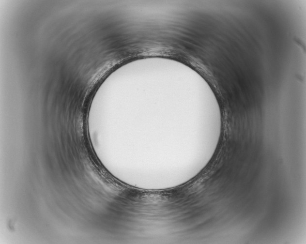 X0000101460298200808041048